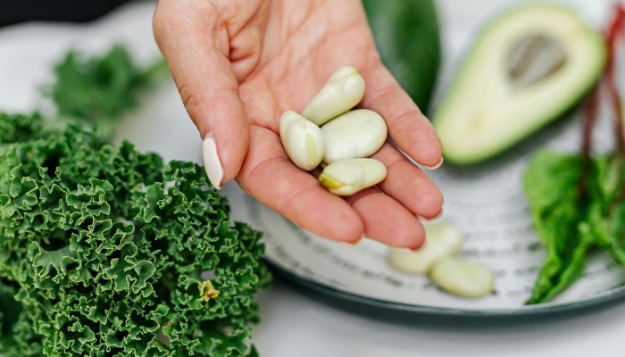 Fava - Blog Alhocomalecrim.com