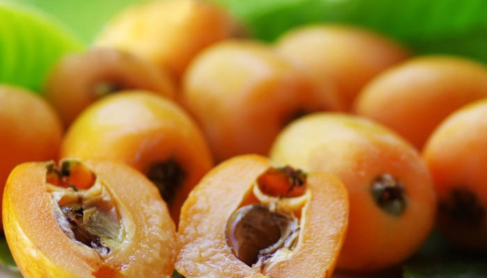 Nêspera - Blog Alhocomalecrim.com