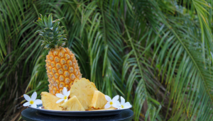 Abacaxi - Blog Alhocomalecrim.com