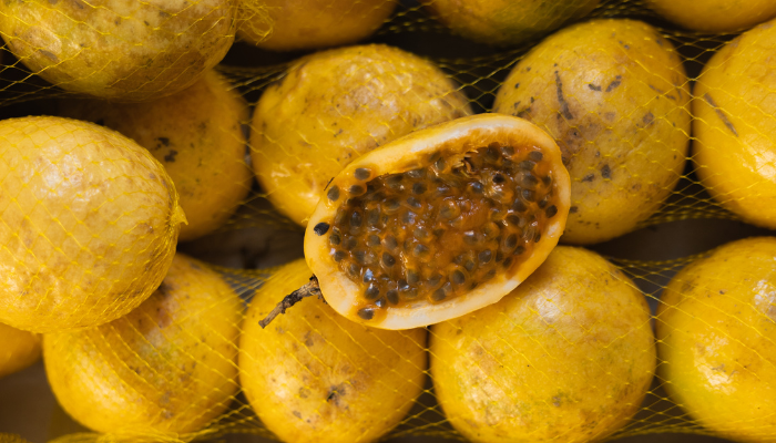 Maracujá - Blog Alhocomalecrim.com