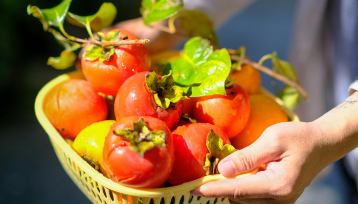 Caqui - Blog Alhocomalecrim.com