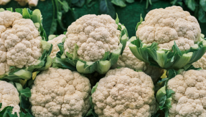 Couve-flor - Blog Alhocomalecrim.com