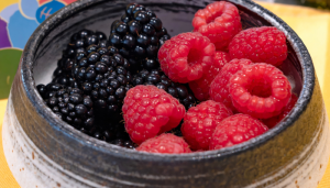 Framboesa - Blog Alhocomalecrim.com