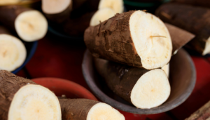 Aipim - Blog Alhocomalecrim