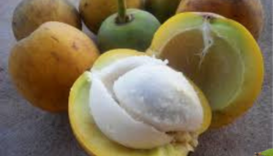 Bacuri - Blog Alhocomalecrim