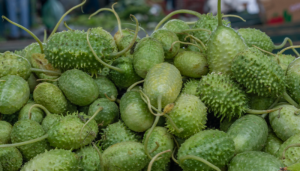 Maxixe - Blog Alhocomalecrim