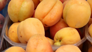 Pupunha - Blog Alhocomalecrim