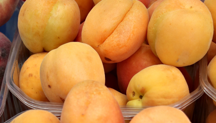 Pupunha - Blog Alhocomalecrim