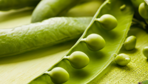 Vagem - Blog Alhocomalecrim