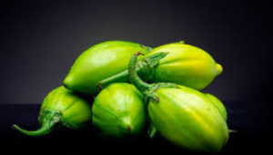 jiló - Blog Alhocomalecrim