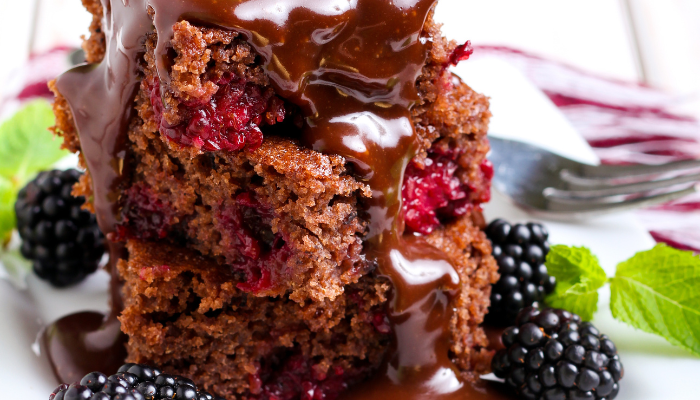 Bolo de chocolate e amora - Blog Alhocomalecrim
